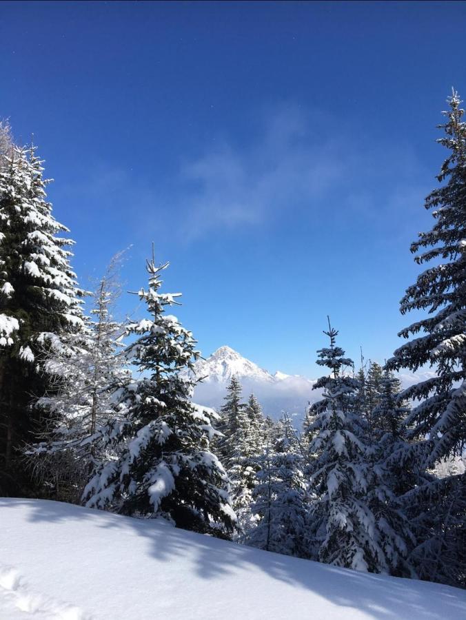 Apart Waldesruh Arzl im Pitztal Extérieur photo