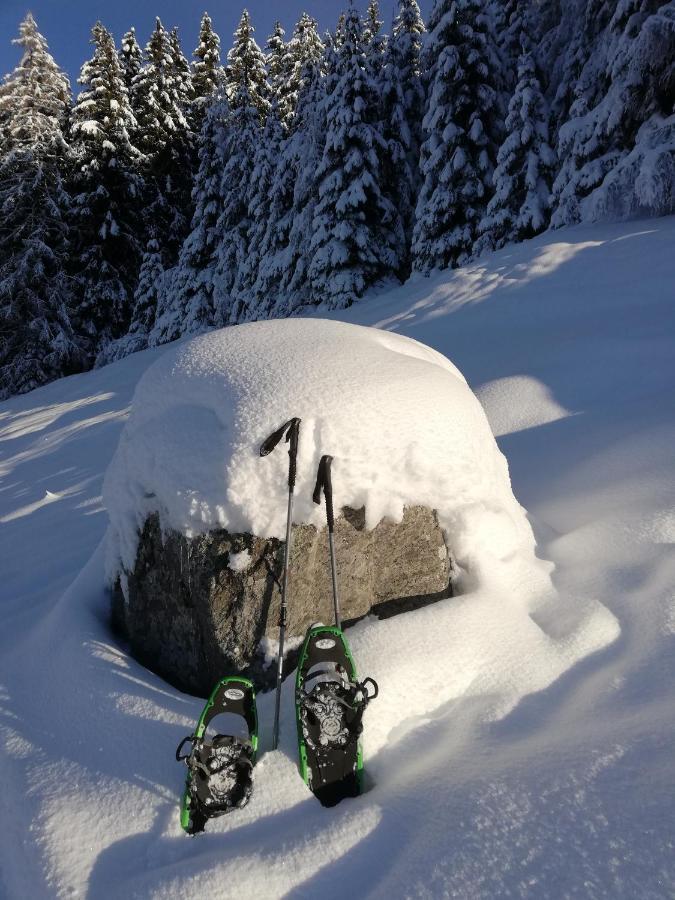 Apart Waldesruh Arzl im Pitztal Extérieur photo