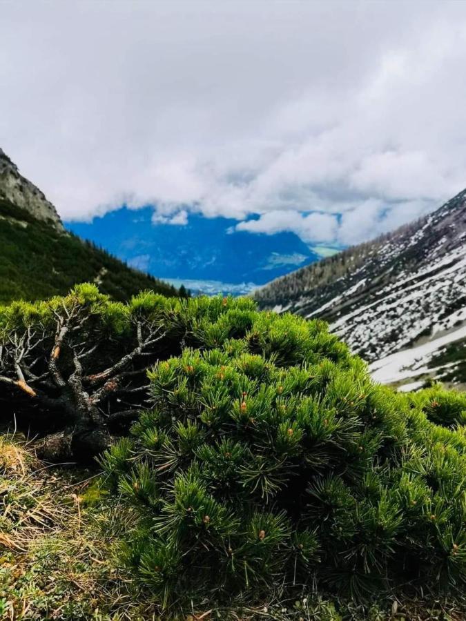 Apart Waldesruh Arzl im Pitztal Extérieur photo